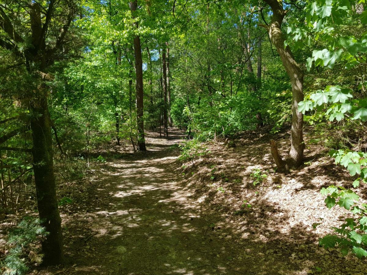 Knusse Bungalow Otterlo Veluwe מראה חיצוני תמונה