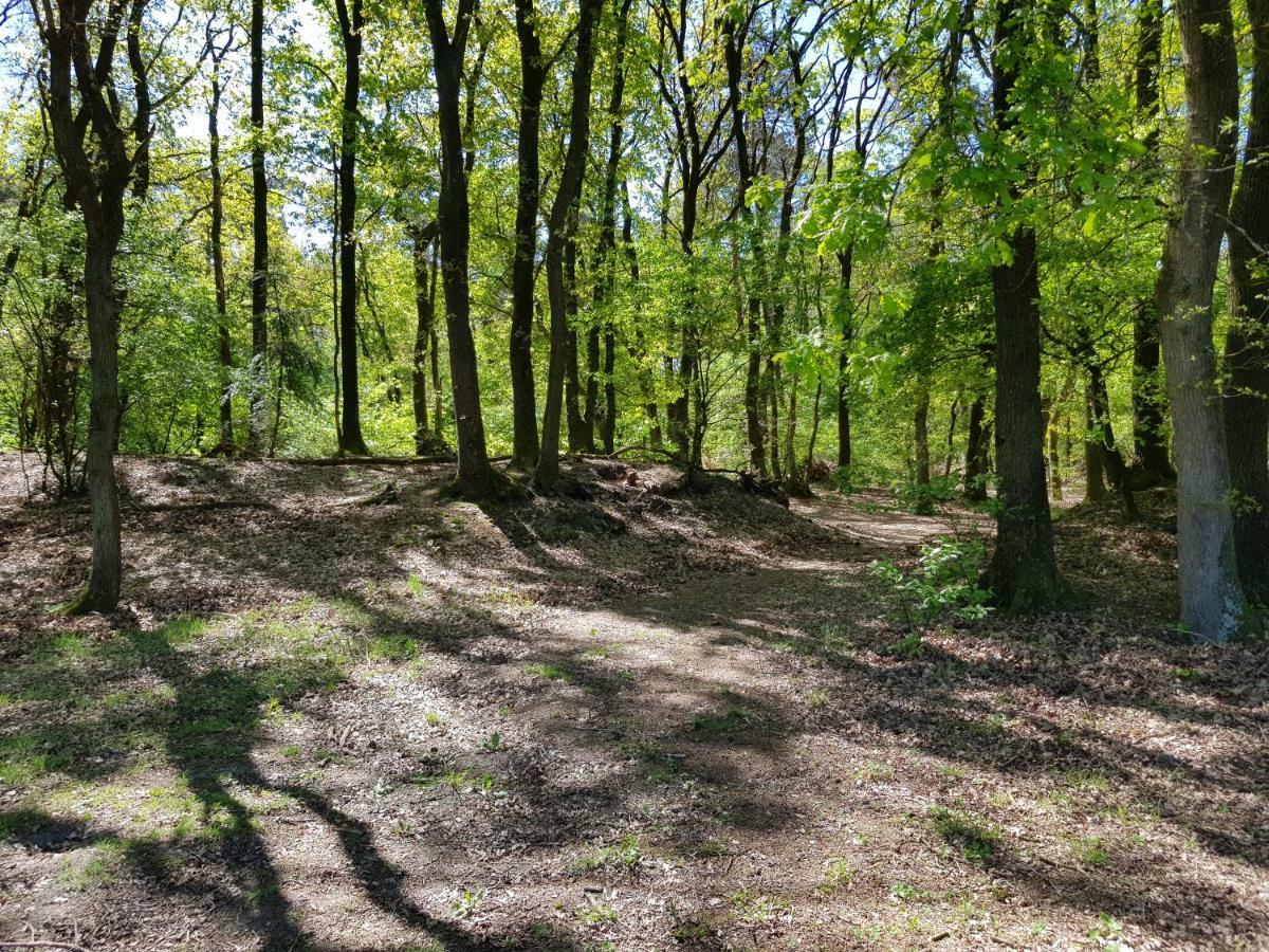 Knusse Bungalow Otterlo Veluwe מראה חיצוני תמונה